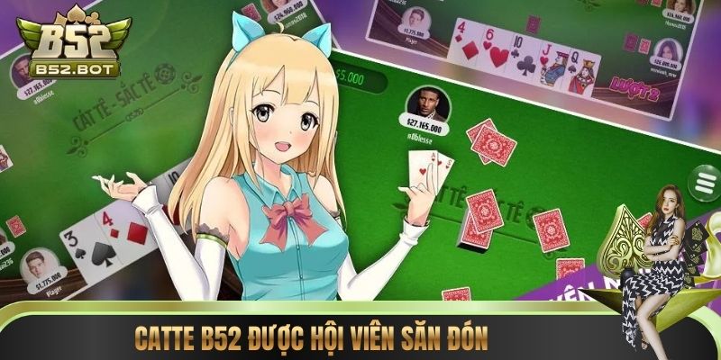 Catte B52 được hội viên săn đón