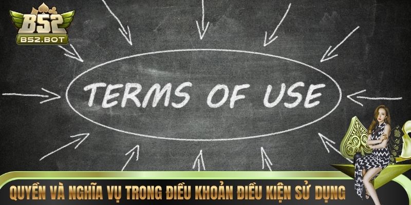Quyền và nghĩa vụ trong điều khoản điều kiện sử dụng